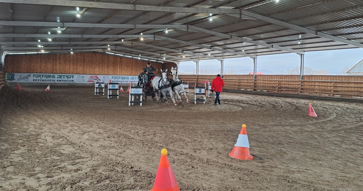 Lovasok és lovassportkedvelők délutánja